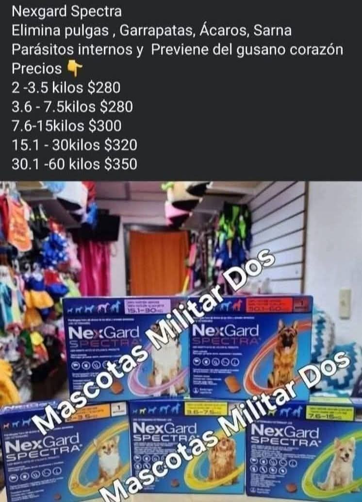 Accesorios & Novedades para Mascotas Militar Facebook ad: N3xgard Spectra