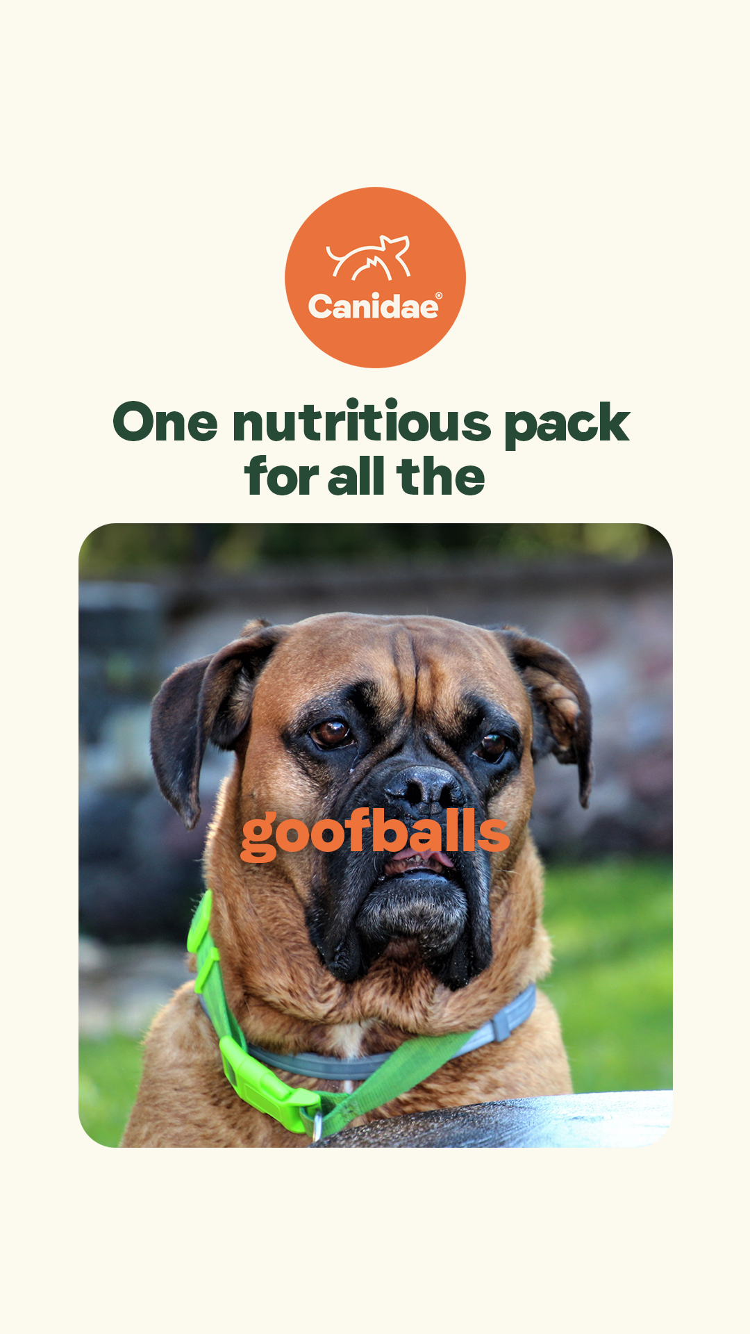 Canidae Pet Food Facebook ad from Feb 12, 2026