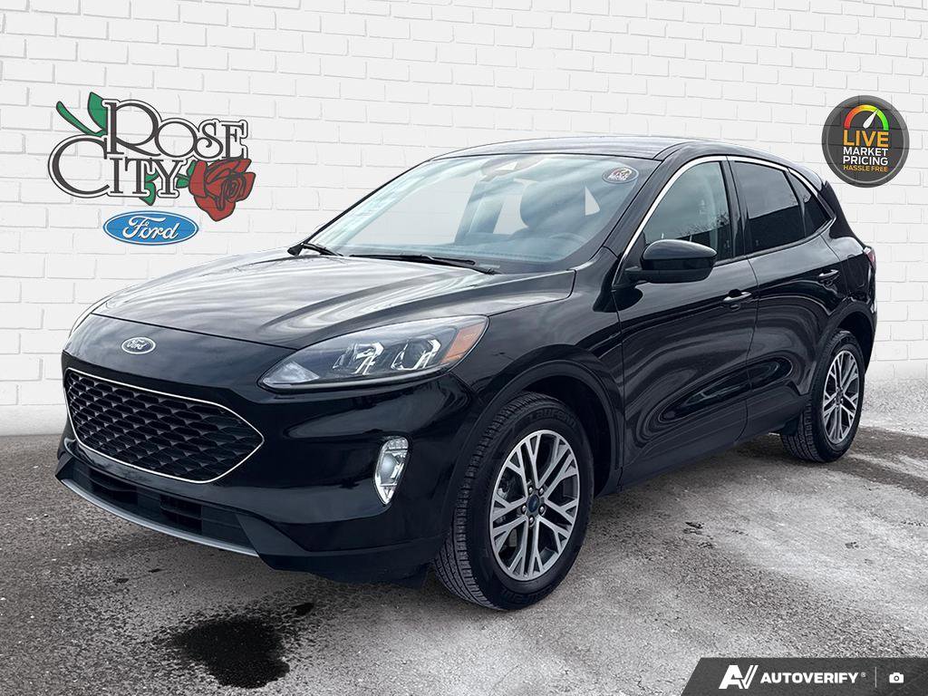 Rose City Ford Facebook ad: Looking for your next ride?
