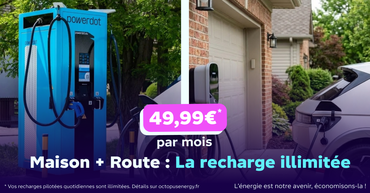 Octopus Energy Facebook ad