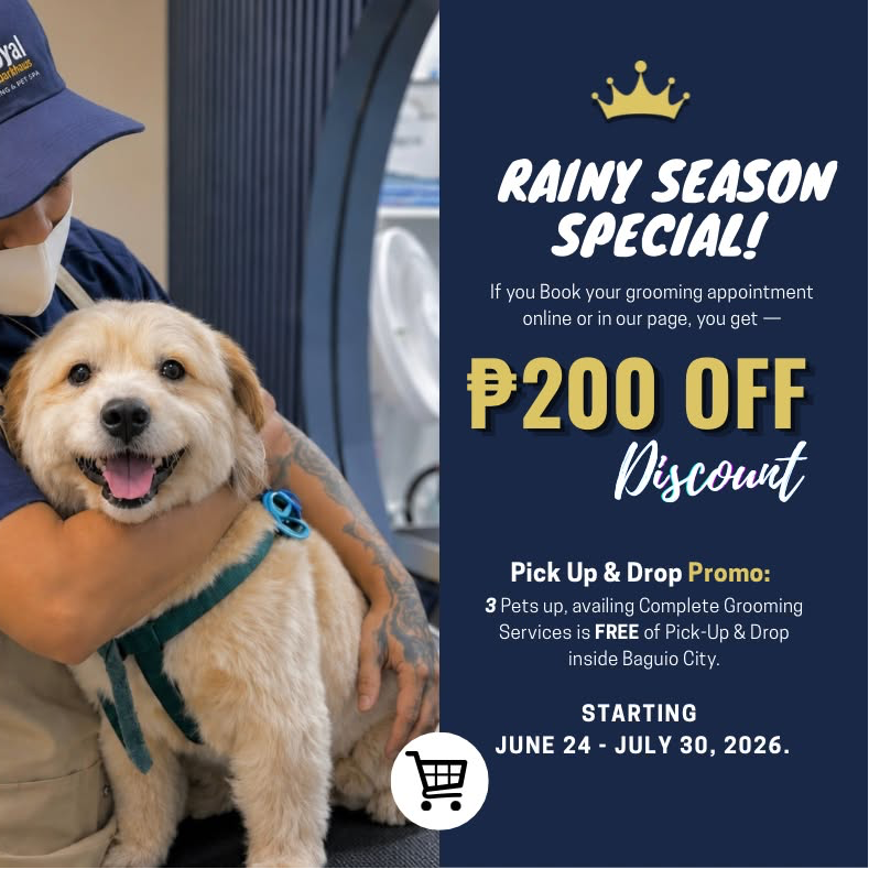 Royal BarkHaus - Baguio City Facebook ad: Chat with us