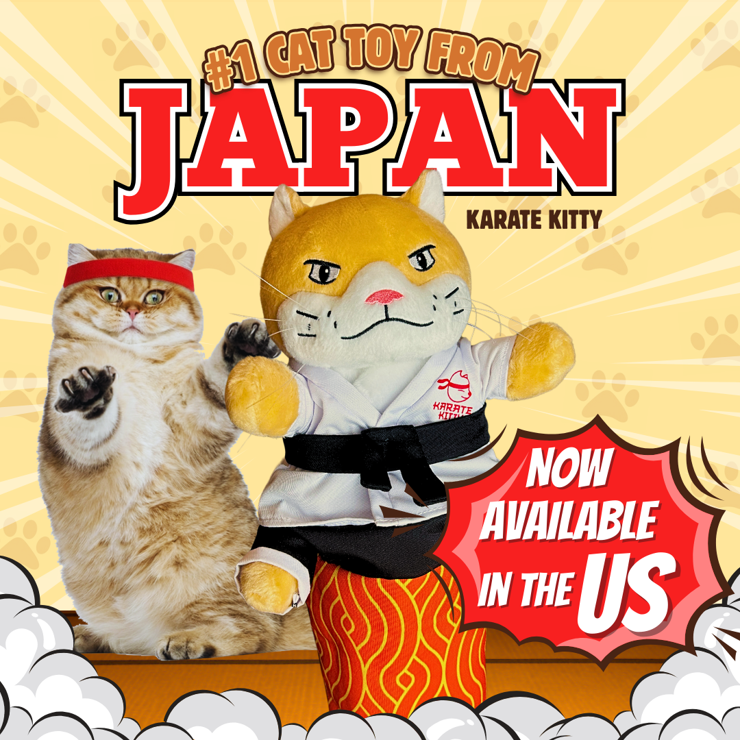 Karate Kitty Facebook ad