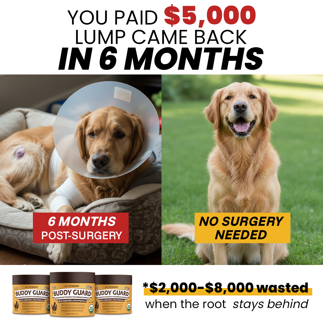 Petsmont Facebook ad