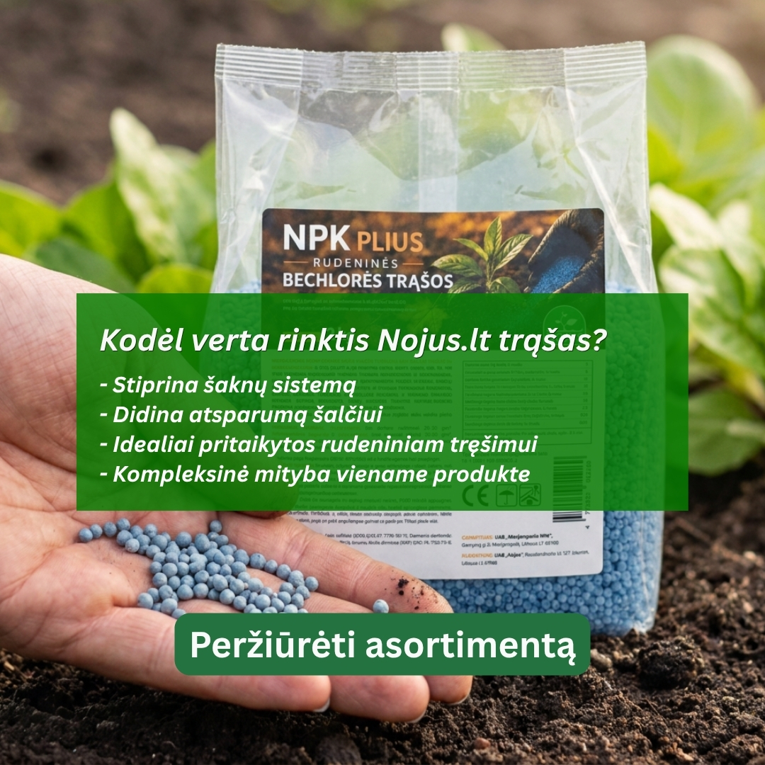 Nojaus sėklos Facebook ad