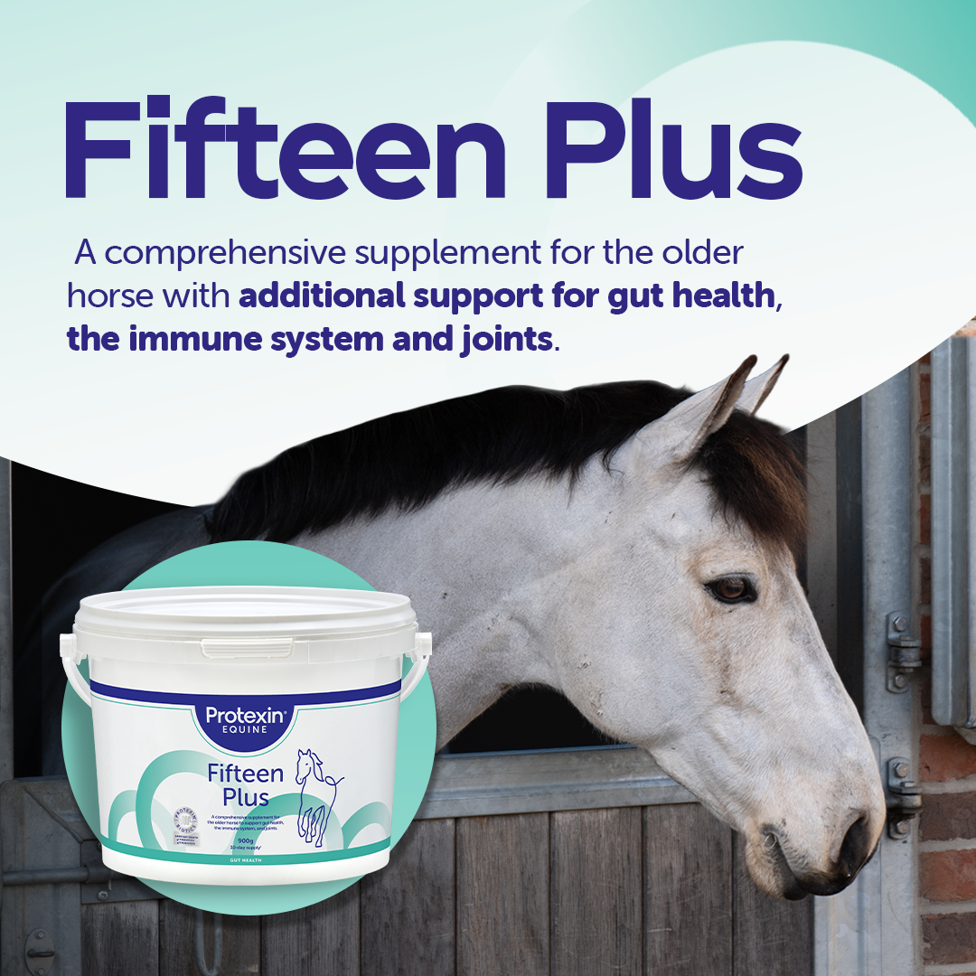Protexin Equine Facebook ad