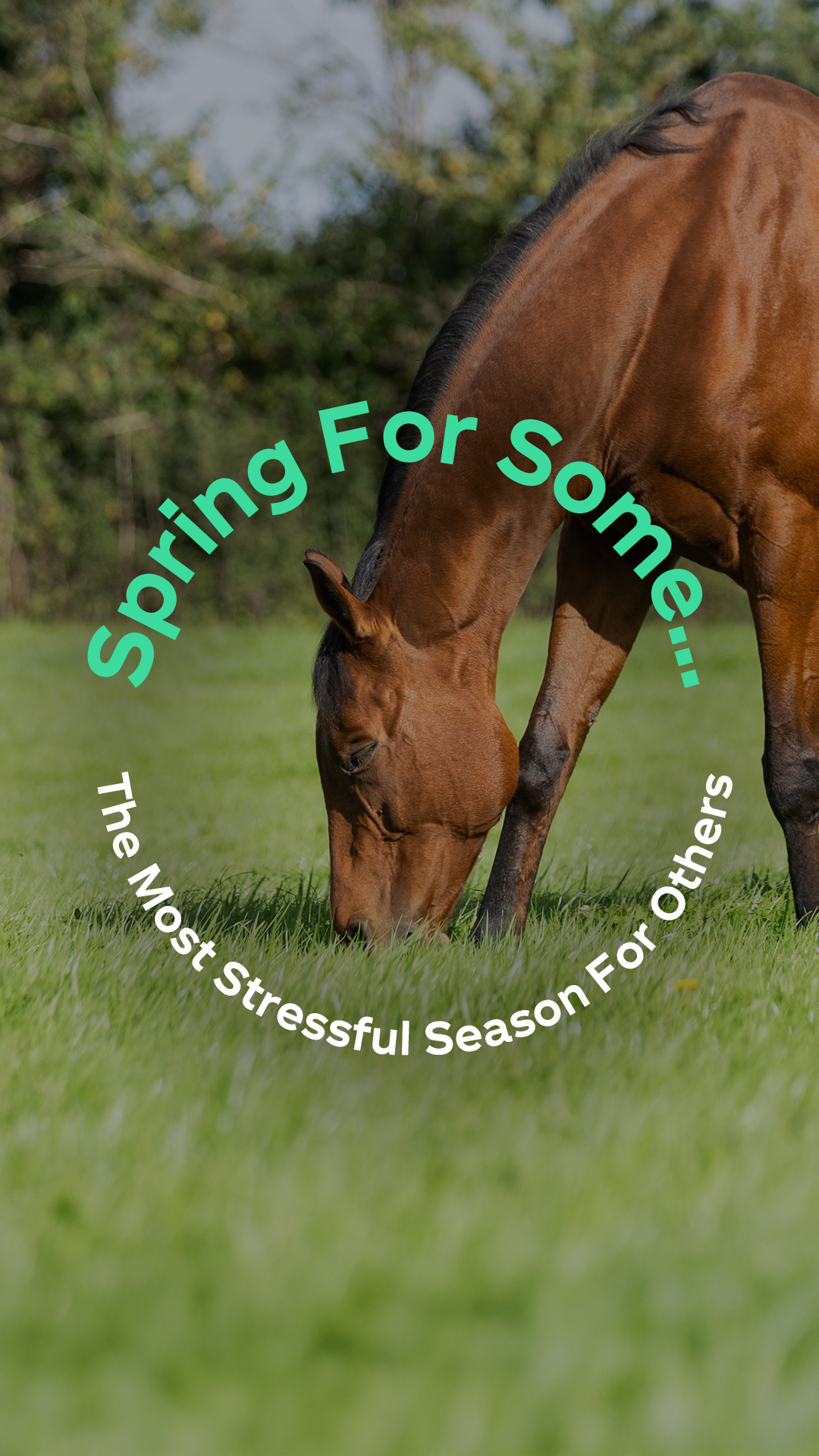 Protexin Equine Facebook ad