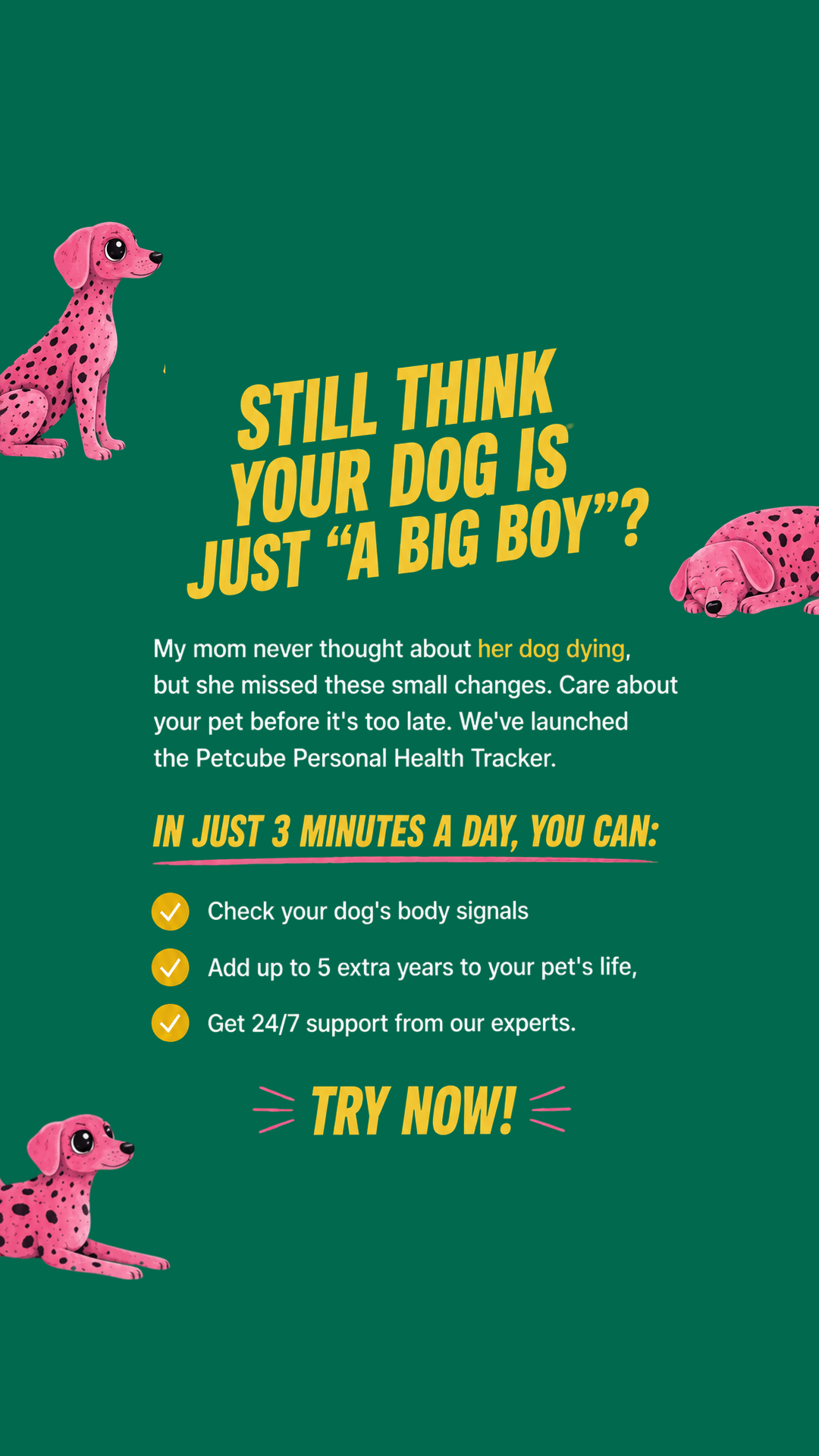 Petcube Facebook ad