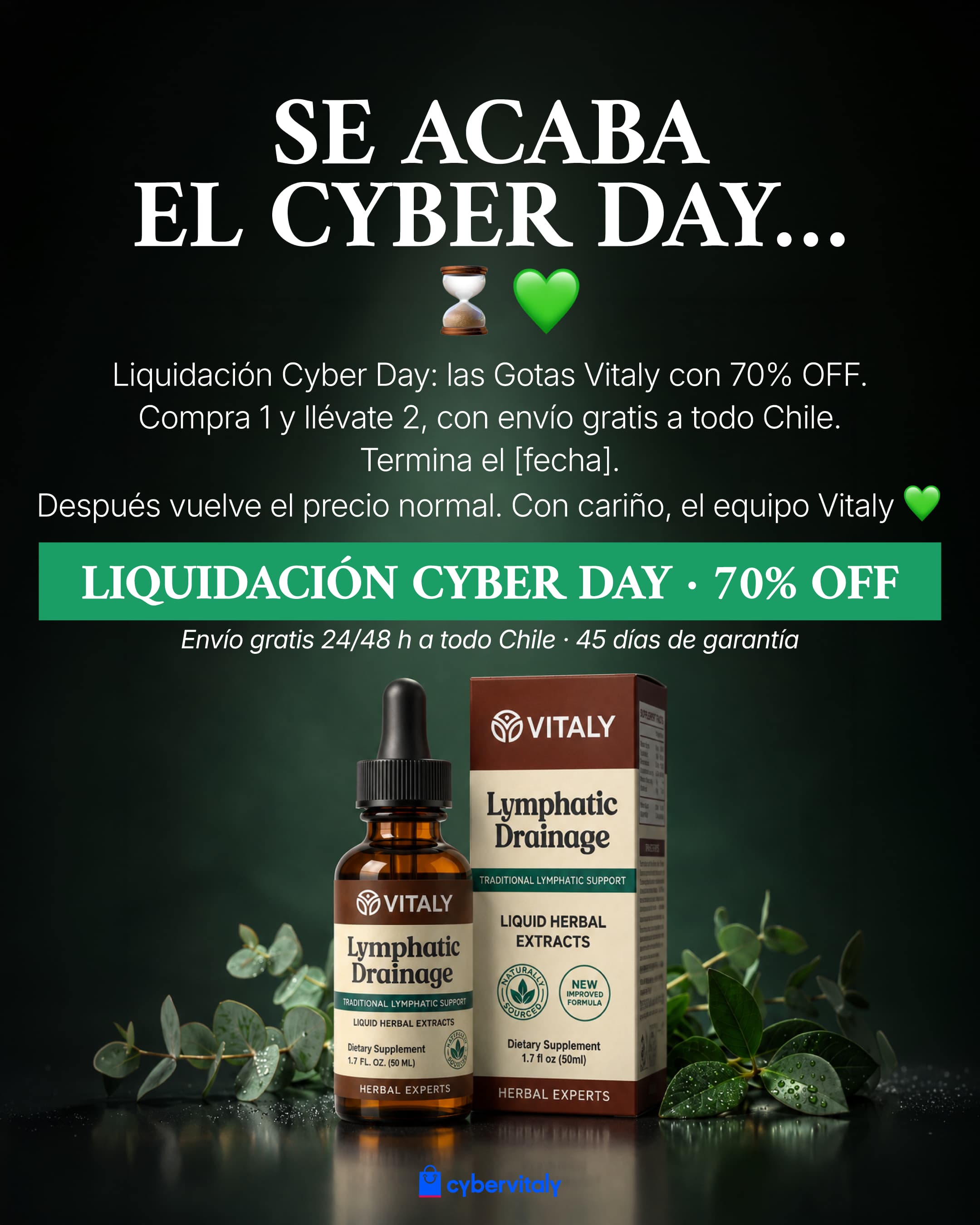 Vitaly Facebook ad: Se acaba el Cyber · 70% OFF
