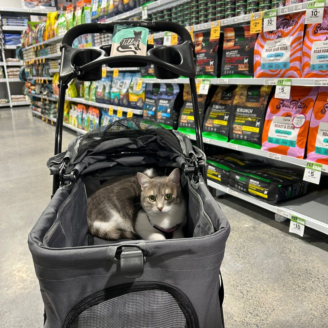 Petstock Facebook ad