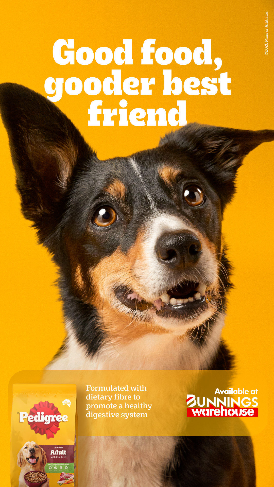 Bunnings Warehouse Australia Facebook ad