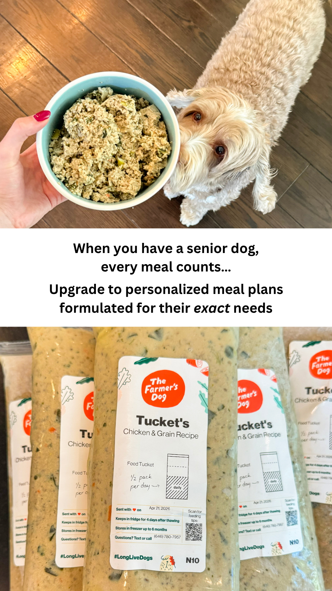Rounds Of A Paws Facebook ad