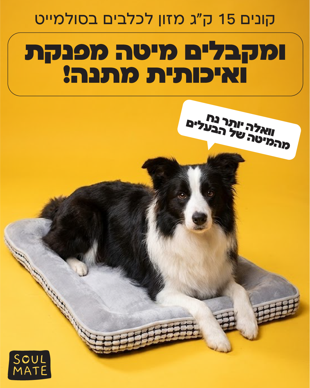 Soulmate - סולמייט Facebook ad