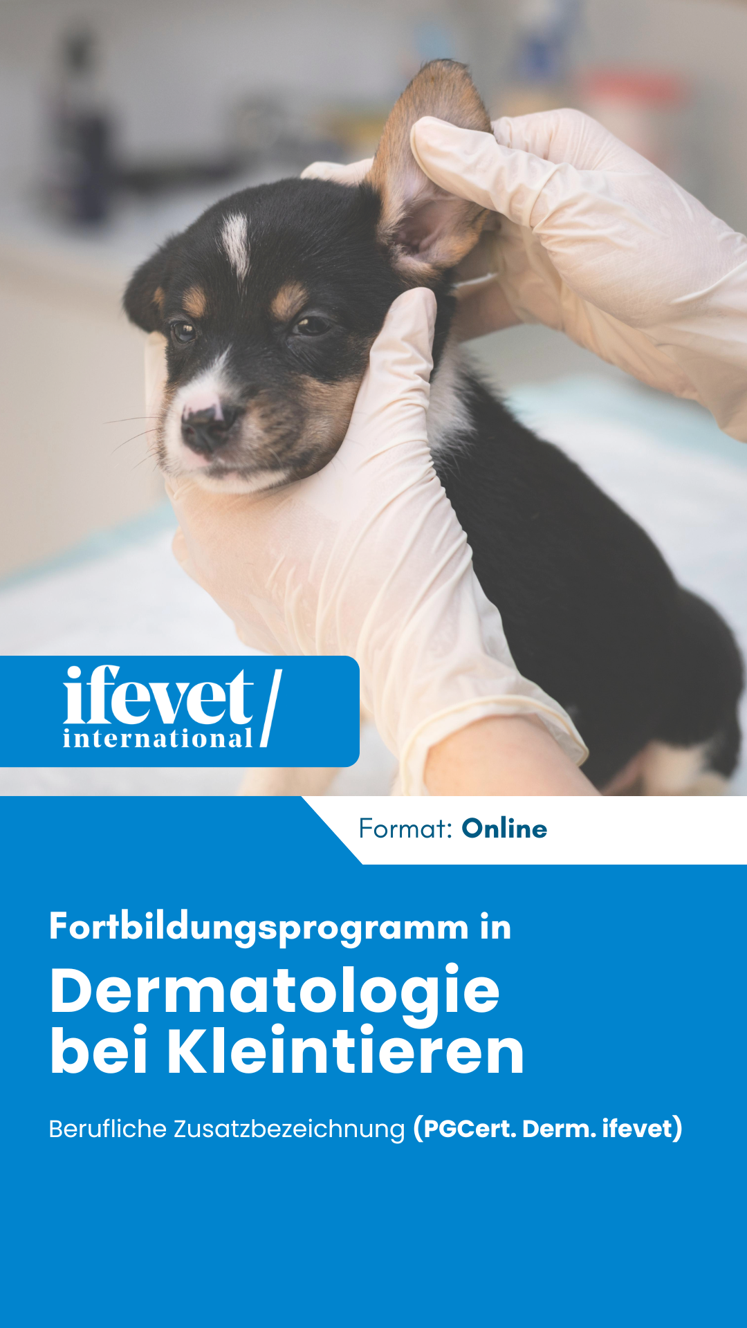 Ifevet - De Facebook ad