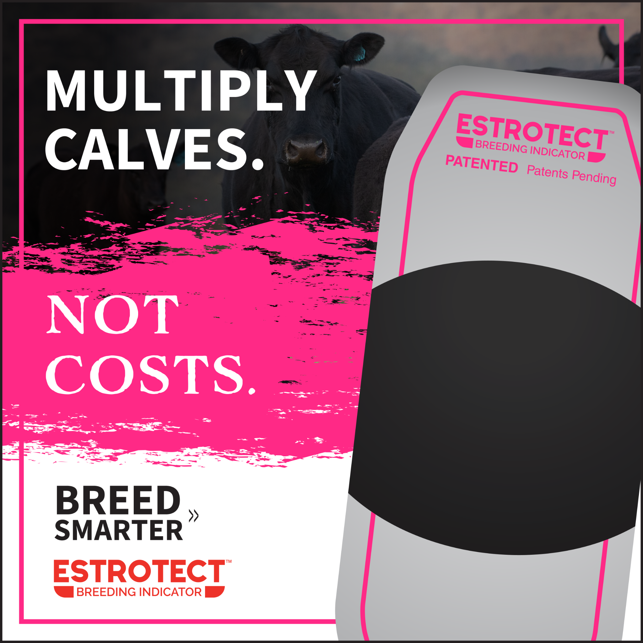 Estrotect Breeding Indicators Facebook ad