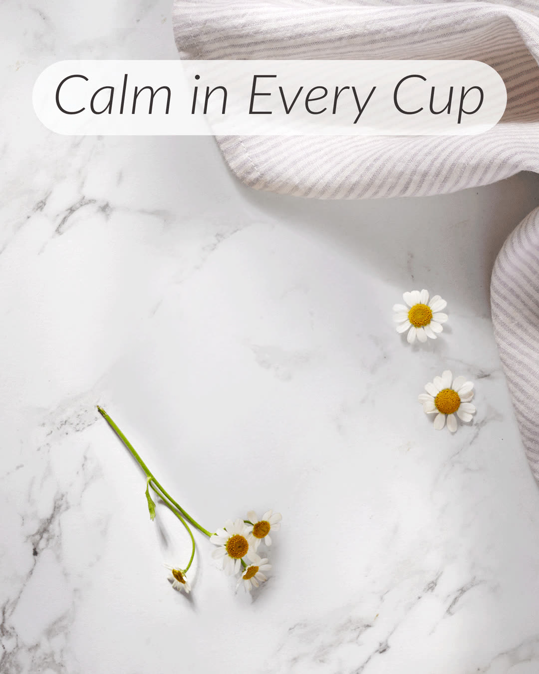 The Republic of Tea Facebook ad: Calm in Every Cup
