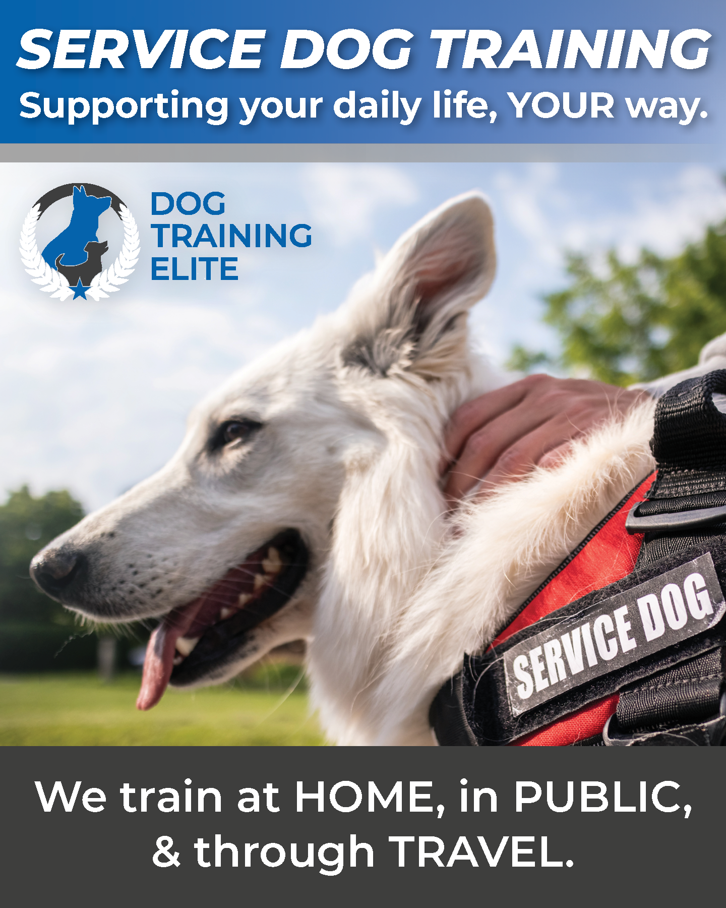 Dog Training Elite San Antonio & New Braunfels Facebook ad from Feb 2, 2026