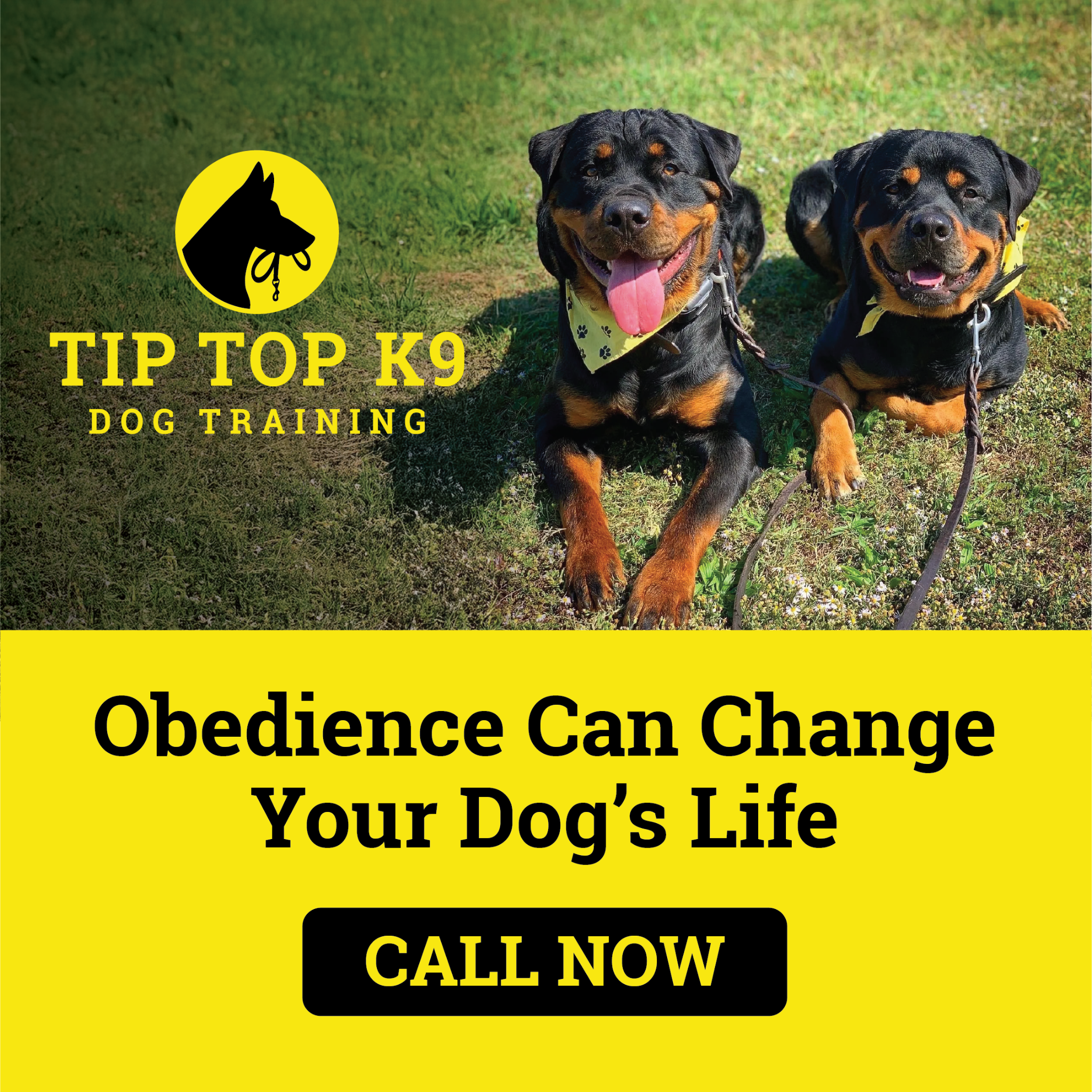 Tip Top K9 Facebook ad: Obedience Training Can Change Your Dog's Life.