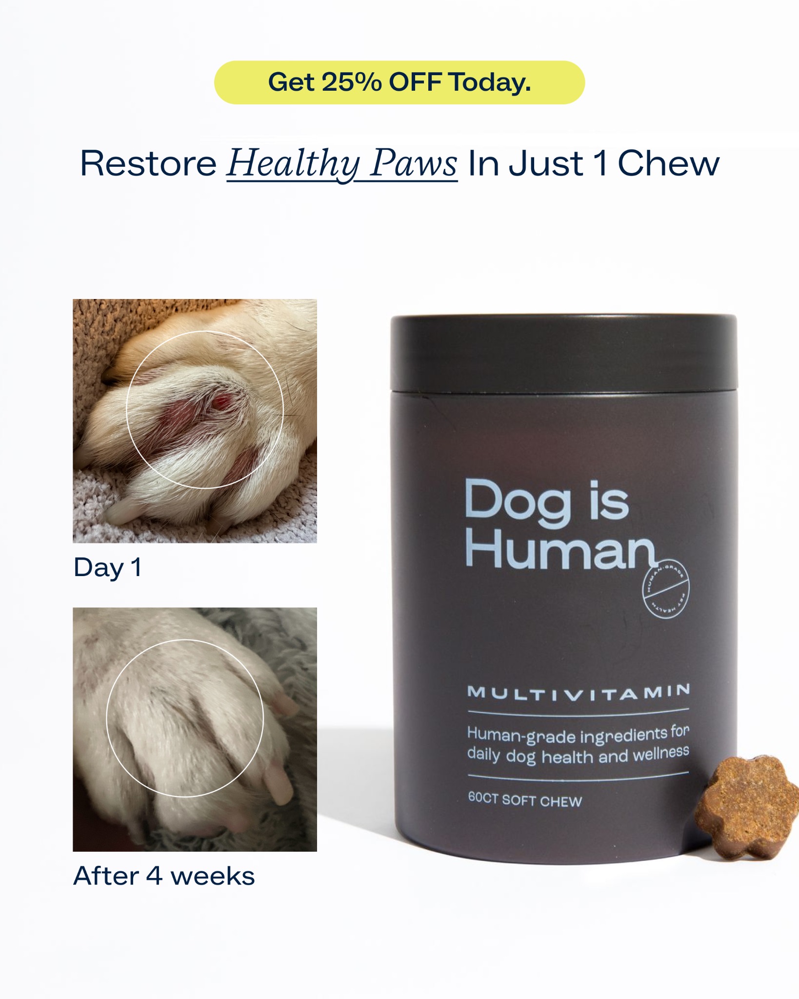 Dog is Human Facebook ad