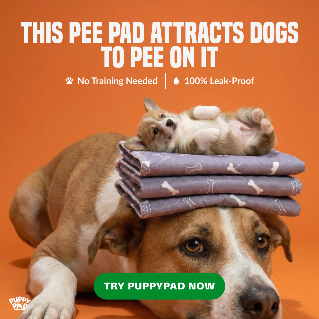 PuppyPad Facebook ad