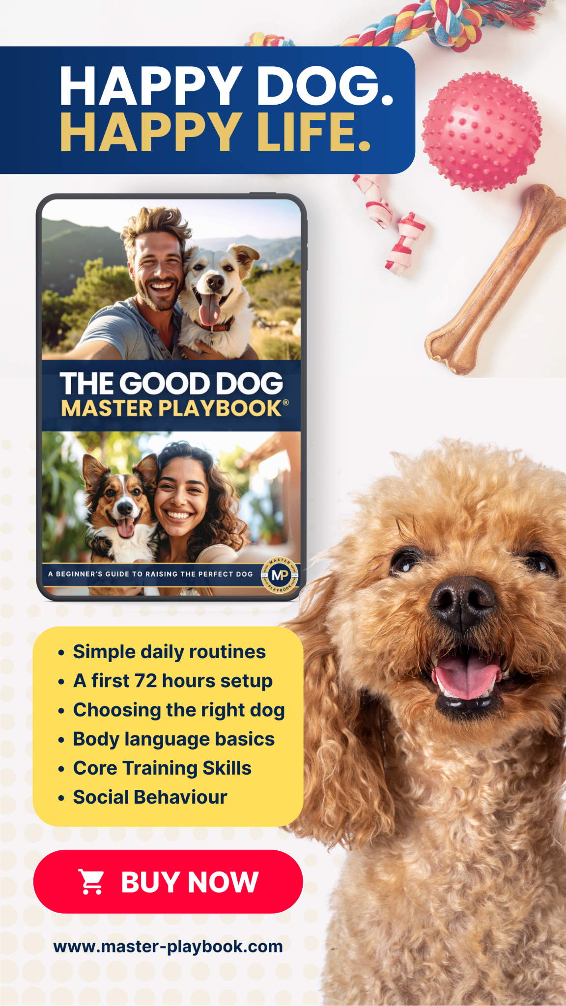 Master Playbook Facebook ad from Feb 20, 2026