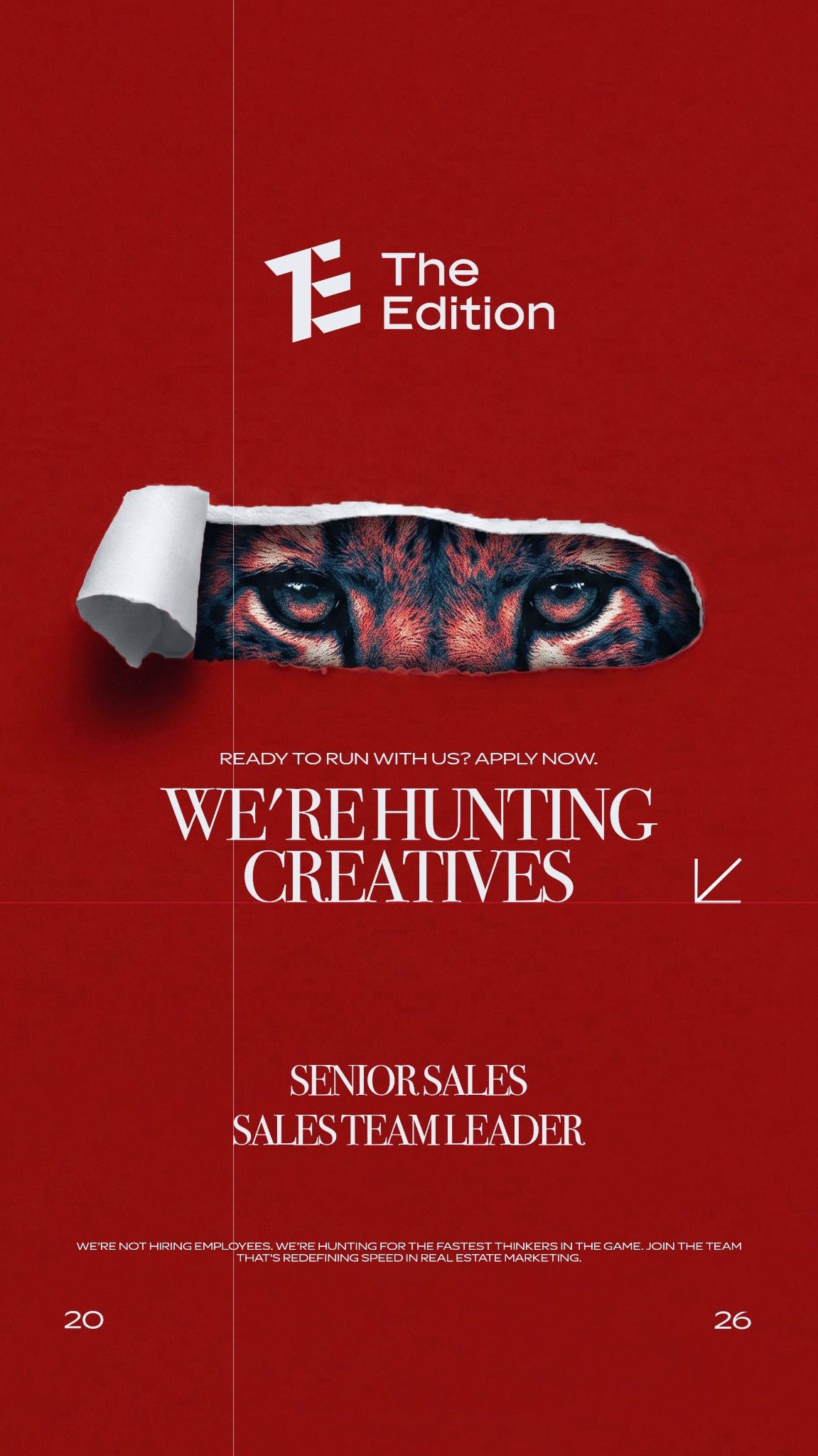 The Edition Facebook ad: Apply Now