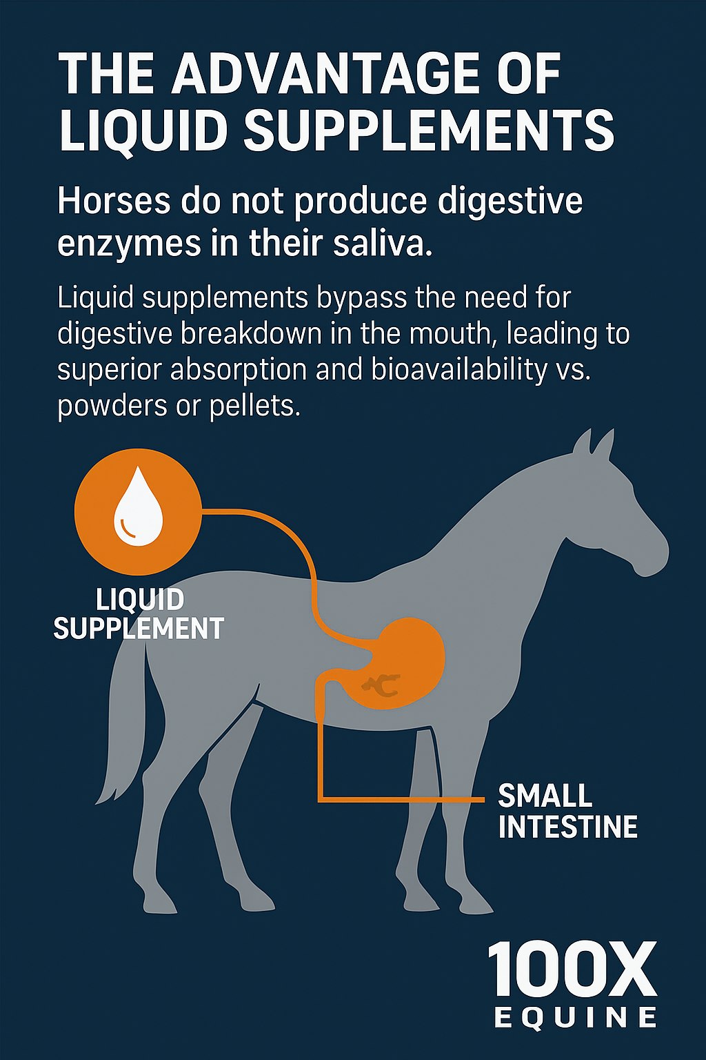 100X Equine Facebook ad
