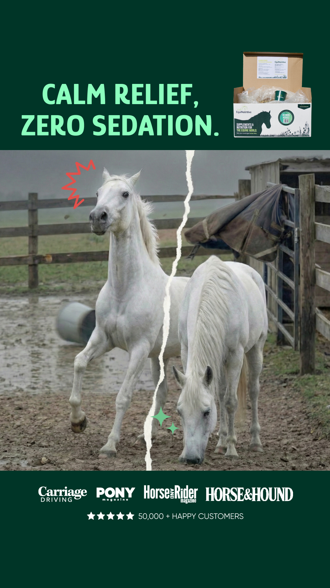 EquiNutritive Facebook ad