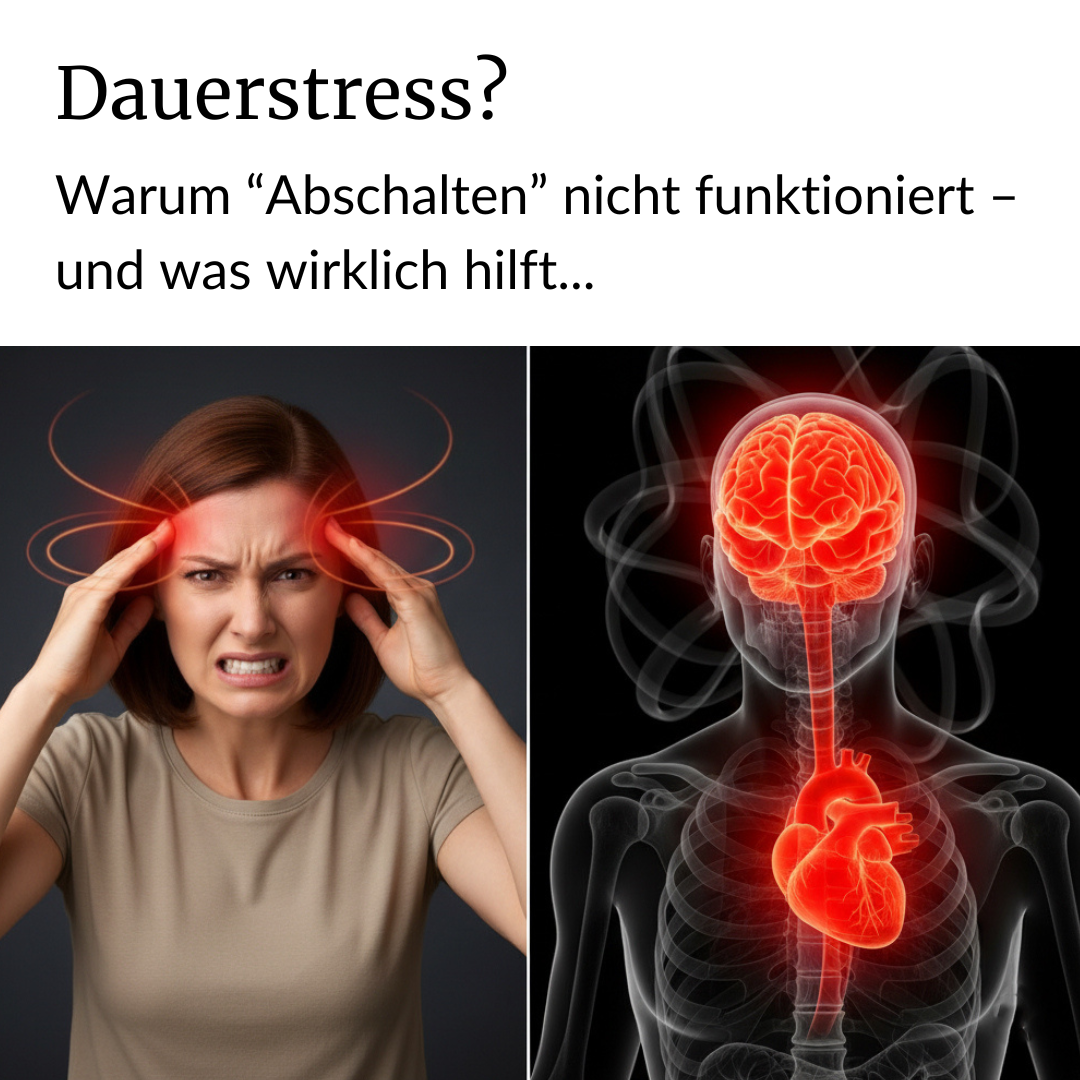 Magazin-Gesundheit Facebook ad