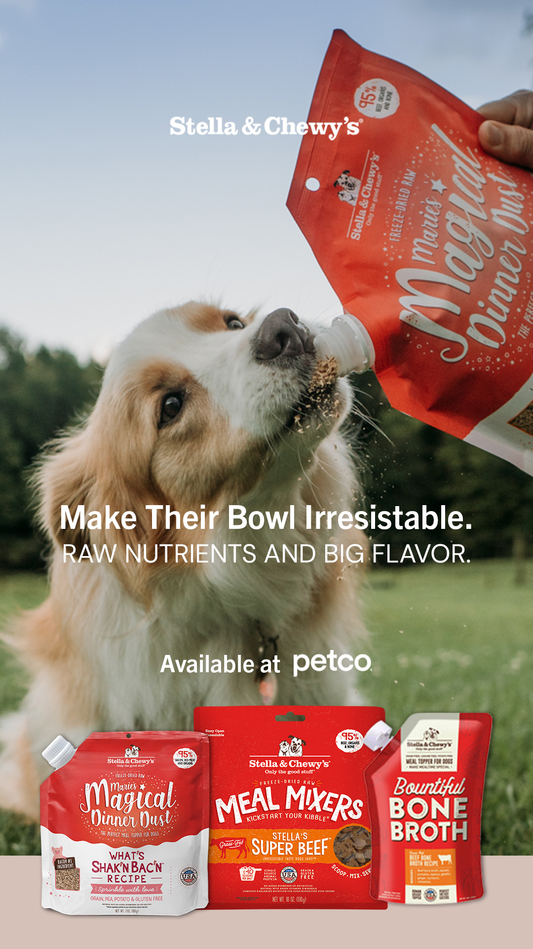 Stella & Chewy's Facebook ad