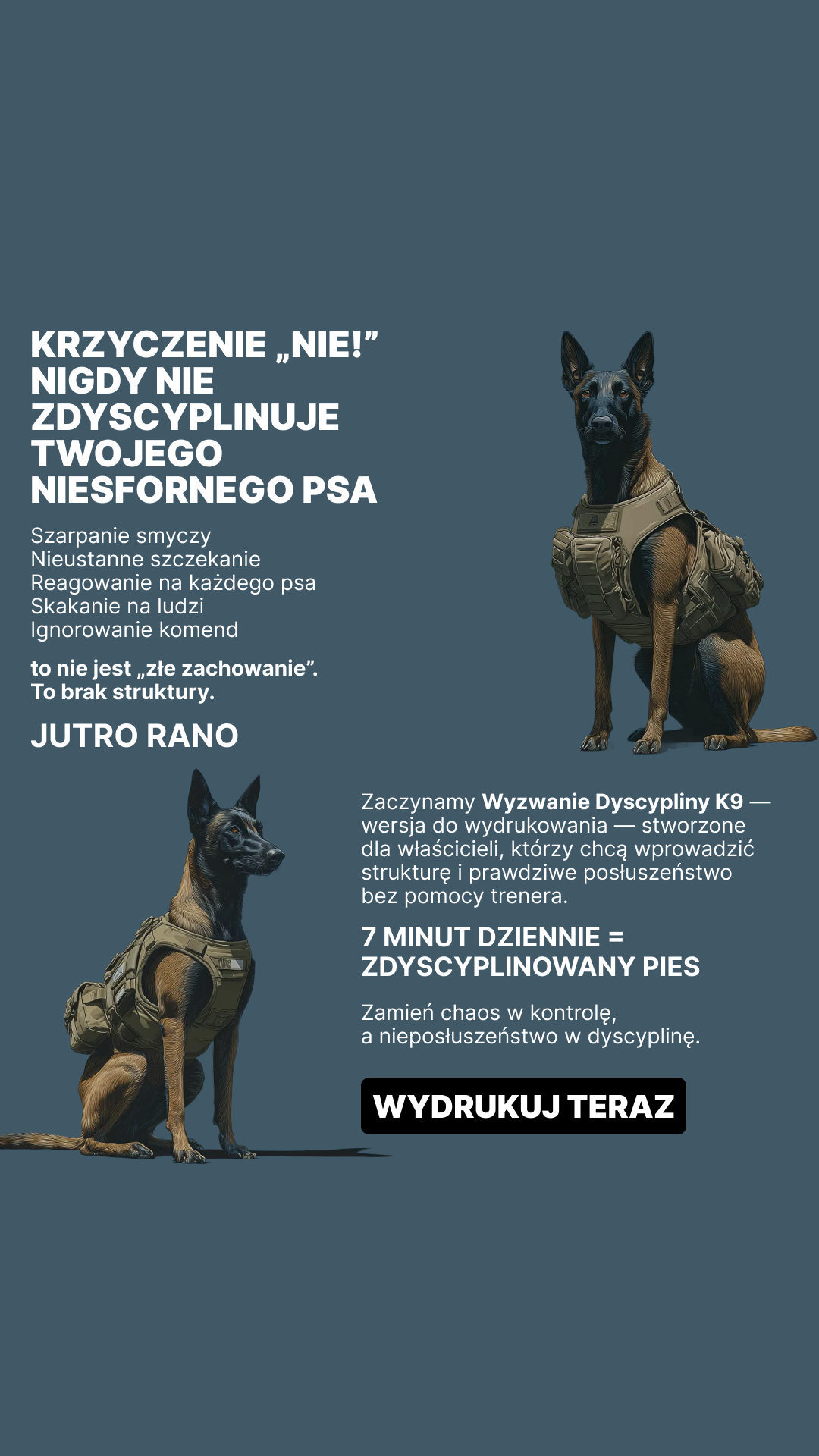 Lisa V. Facebook ad: Rozpocznij Wyzwanie Dyscypliny K9