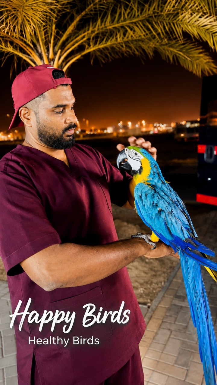 PetBaba Facebook ad: A healthy bird is a happy bird.