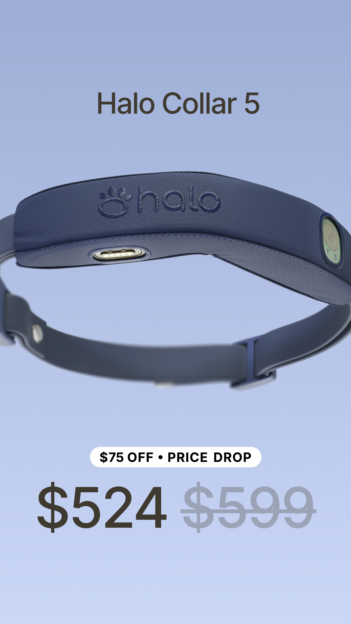 Halo Collar Facebook ad