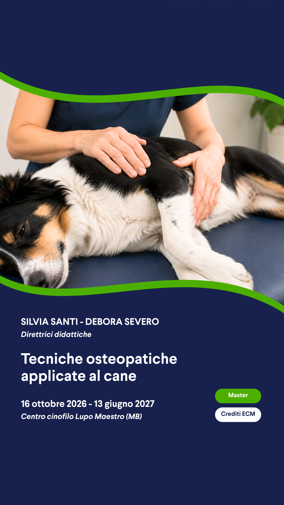 Advanced Osteopathy Institute Facebook ad: Hai una formazione osteopatica e ami lavorare con…