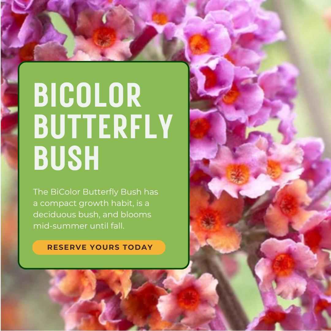 Nature Hills Nursery Facebook ad