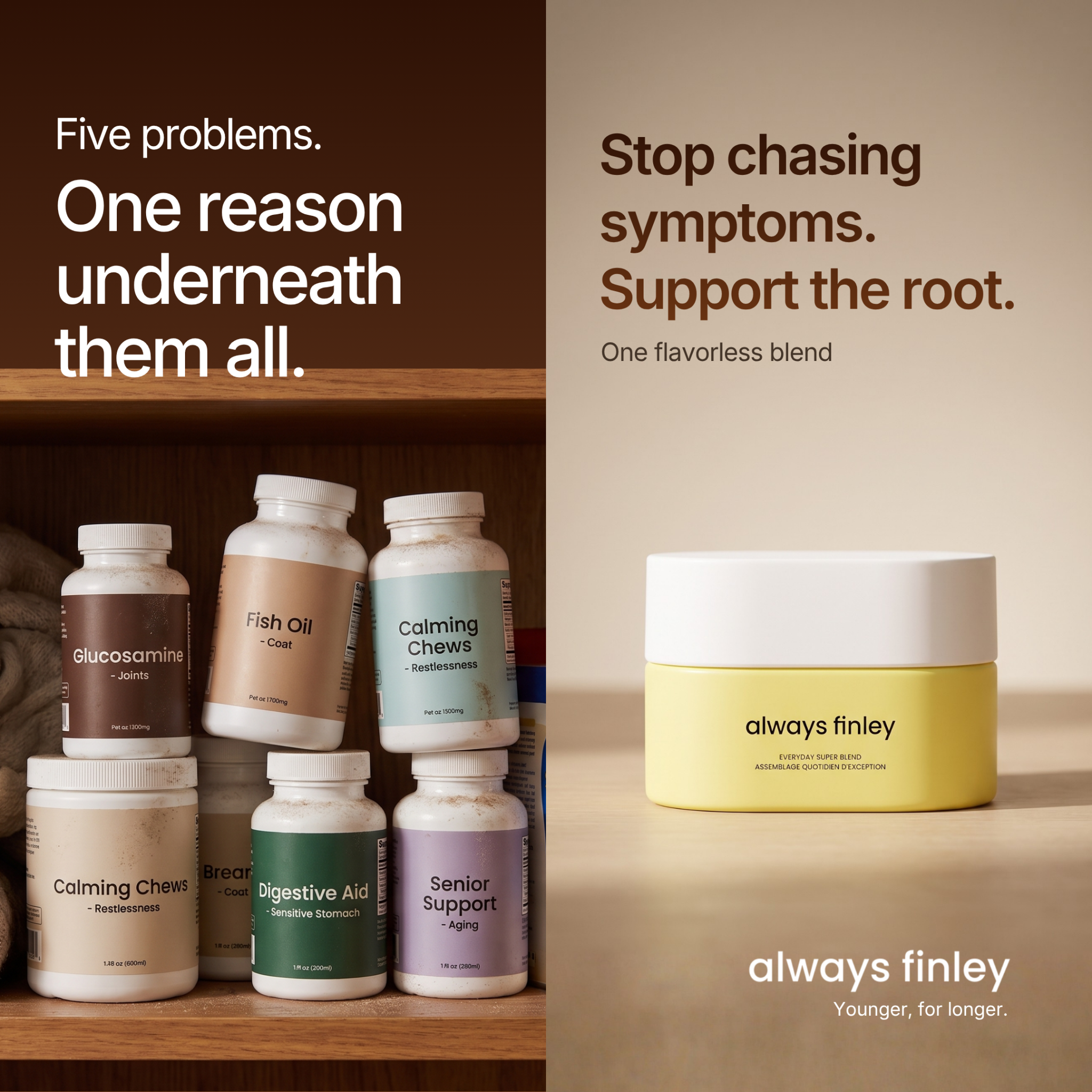 Finley Facebook ad: One daily capsule, instead of five.
