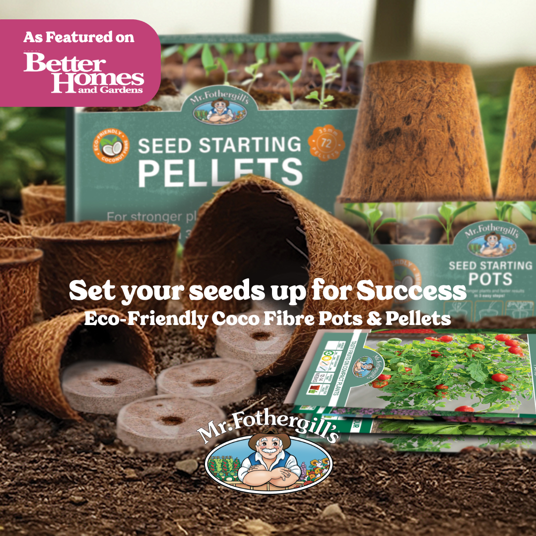 Fothergill'saus Facebook ad