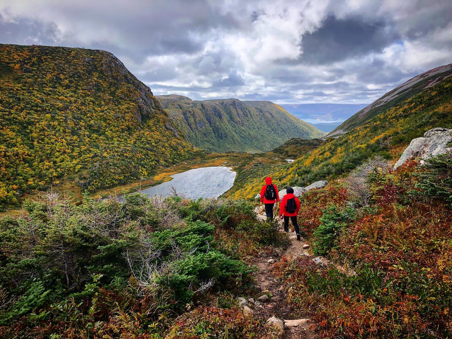 Tour Gros Morne National Park Facebook ad: Offering award winning hiking, walking, food and cultural…