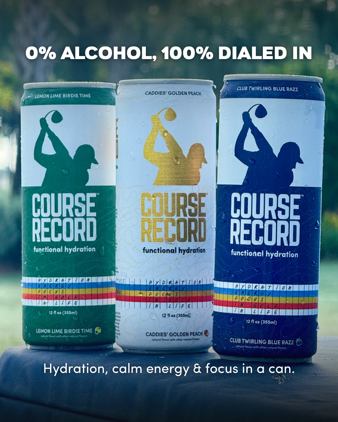 COURSE RECORD Facebook ad