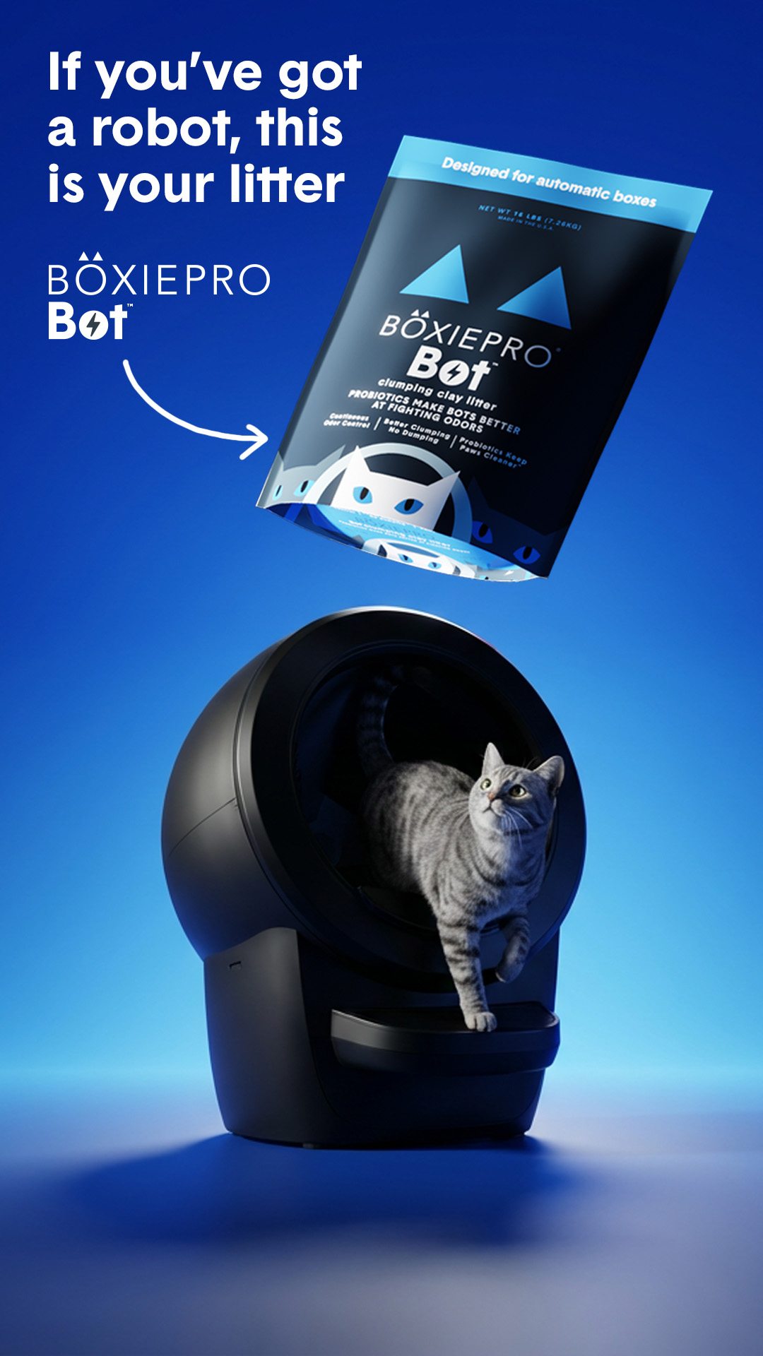 Boxiecat Facebook ad from Jun 13, 2026