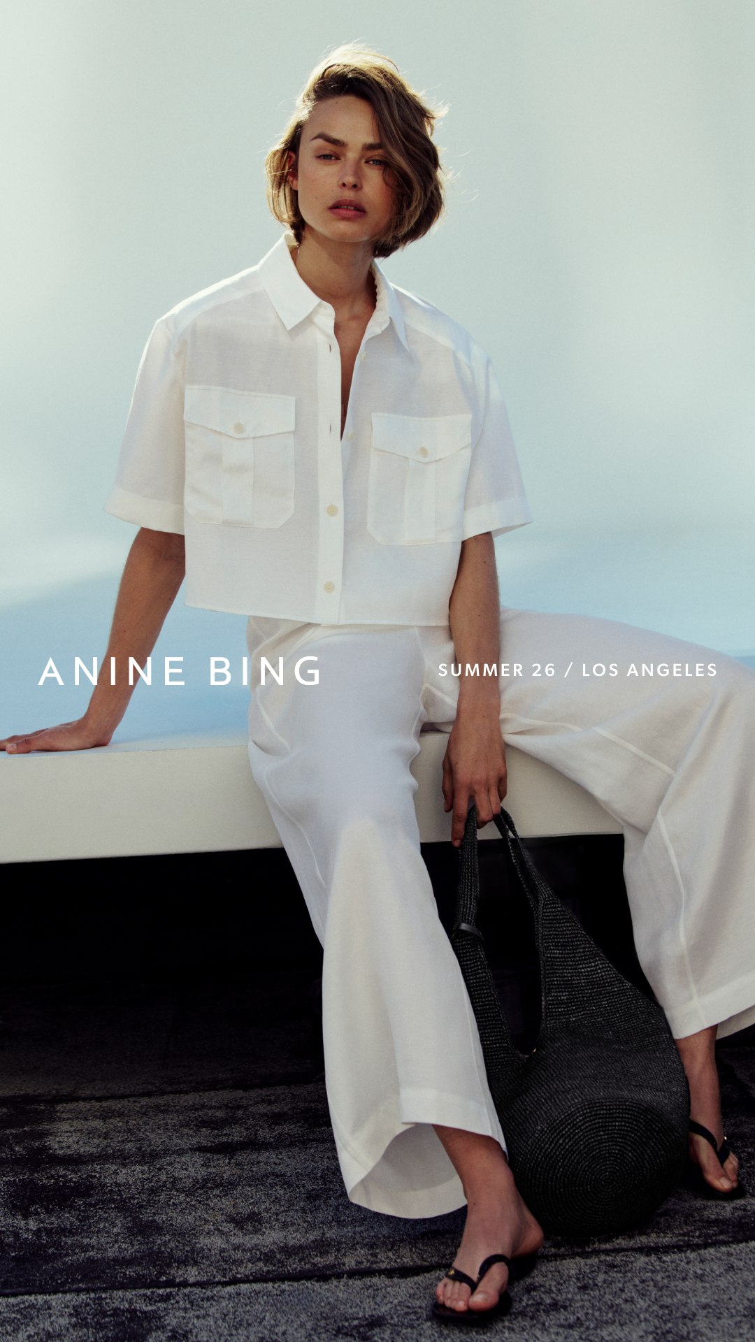 ANINE BING Facebook ad