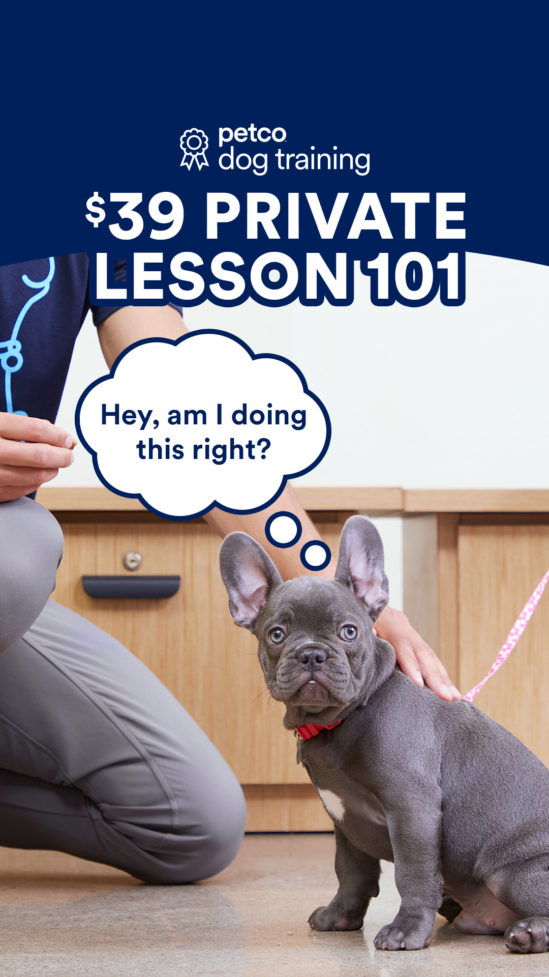 Petco Facebook ad