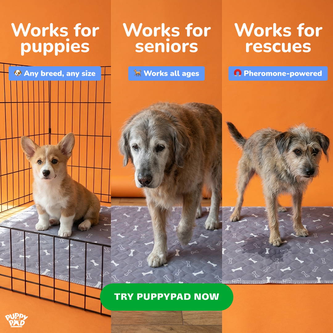 PuppyPad Facebook ad