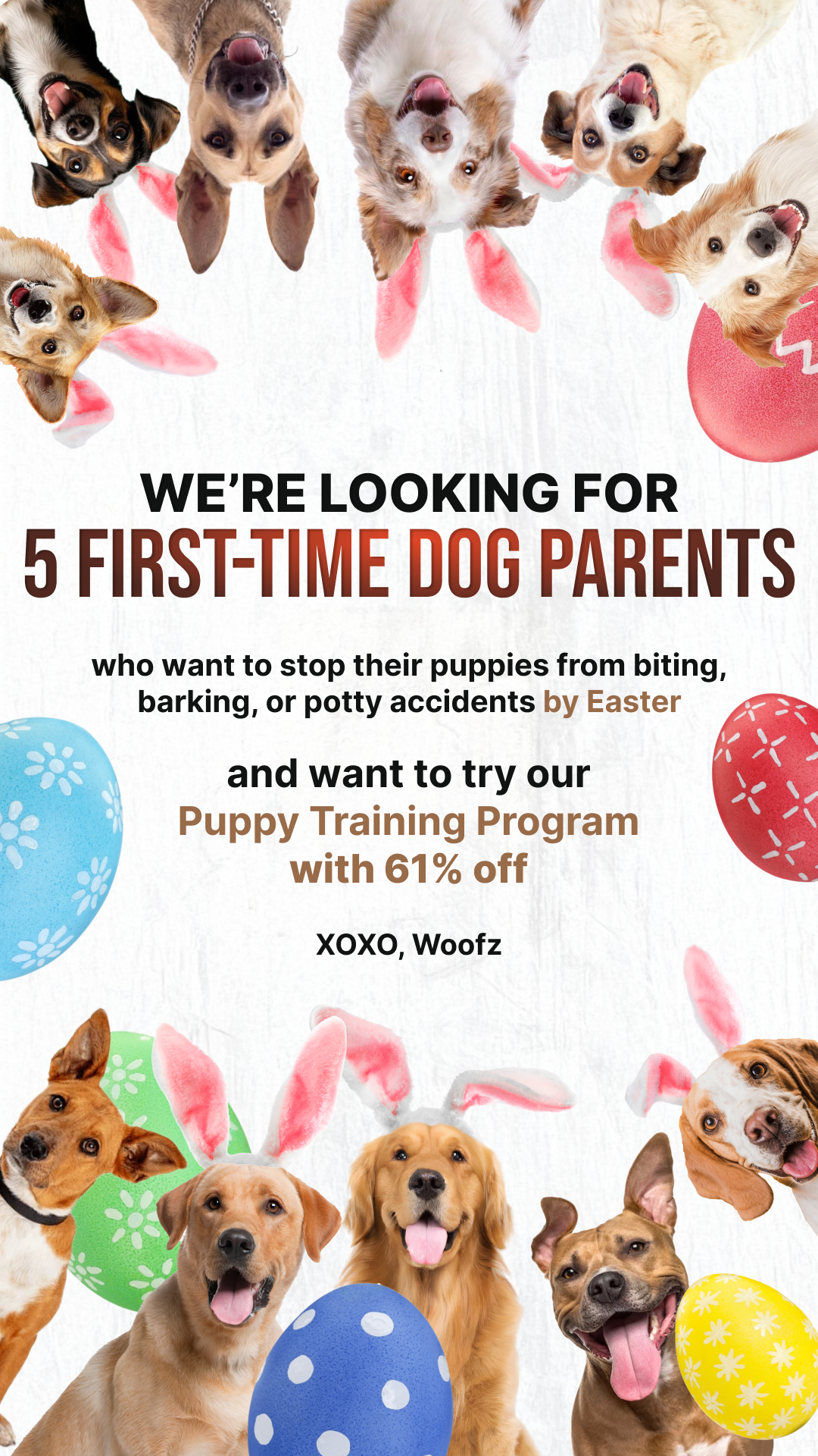 Dog Training & Tips Facebook ad