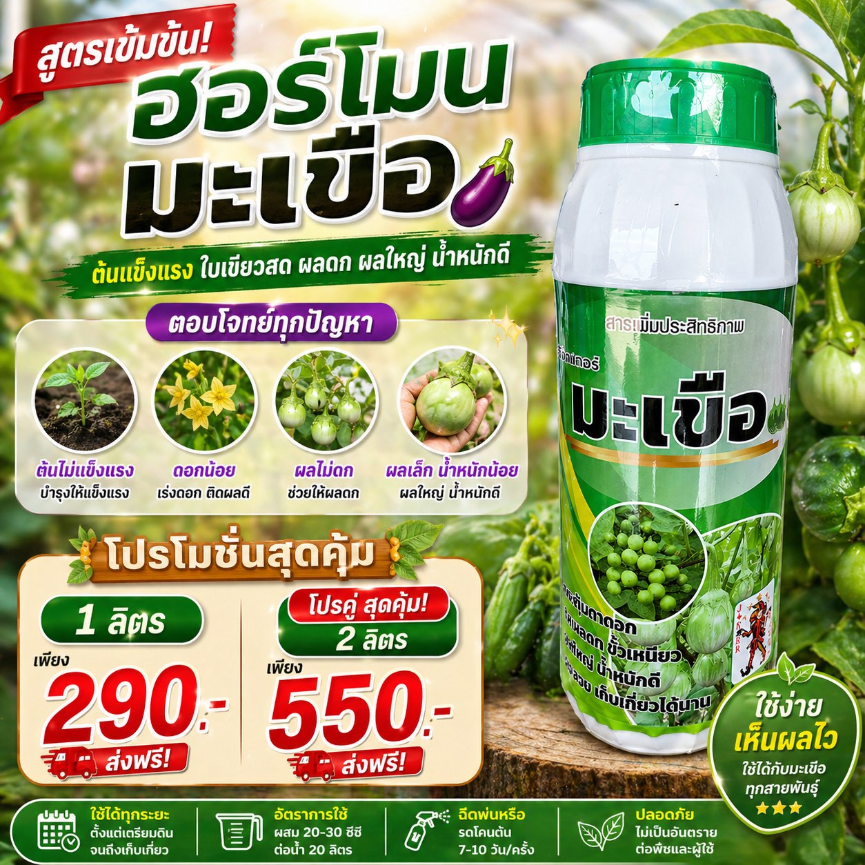 เก่ง การเกษตร 1990 Facebook ad: ปลูกมะเขือแล้วเจอปัญหาแบบนี้ไหม?