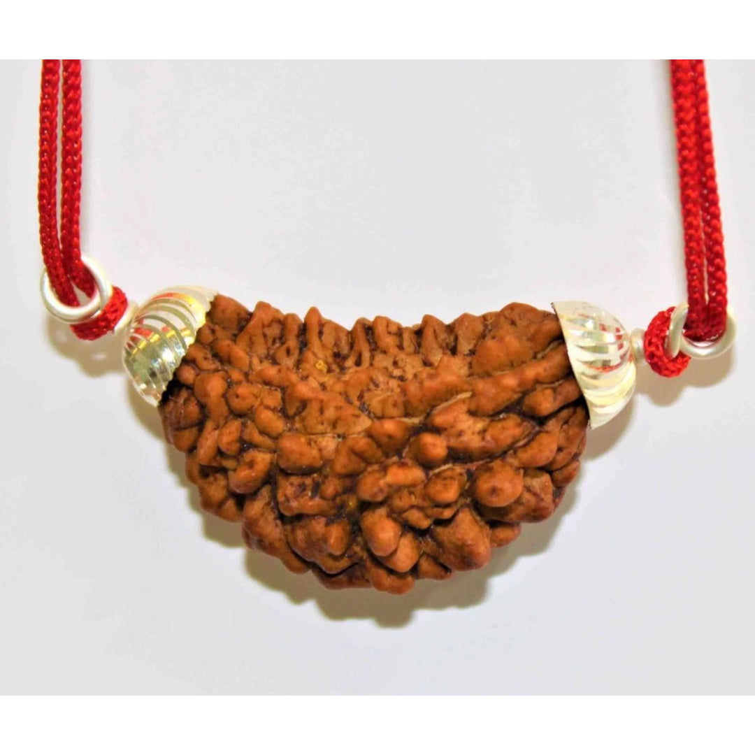 Himalaya Rudraksha Anusandhan Kendra Facebook ad: Certified Rudraksha & Gemstones