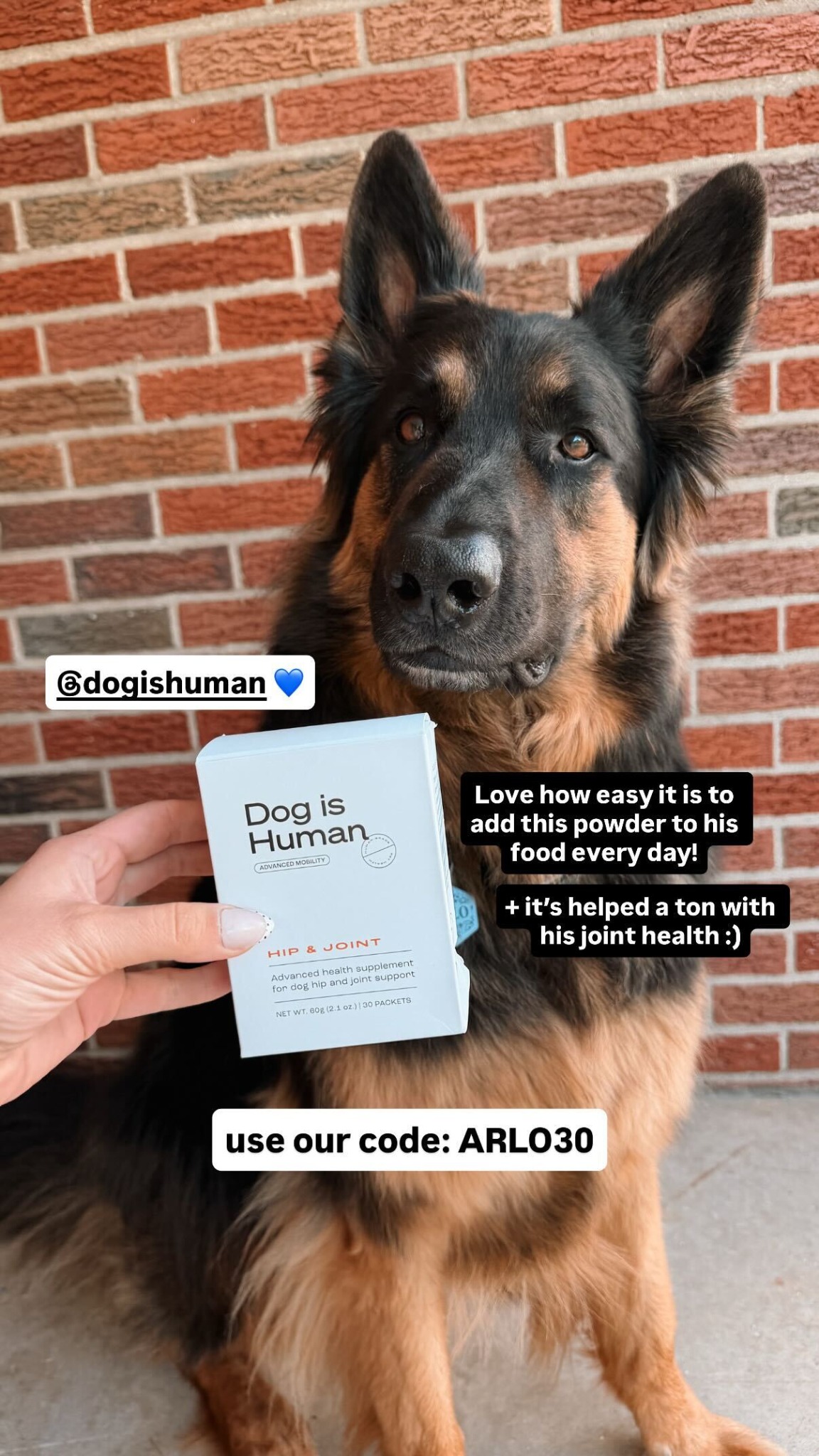Dog is Human Facebook ad