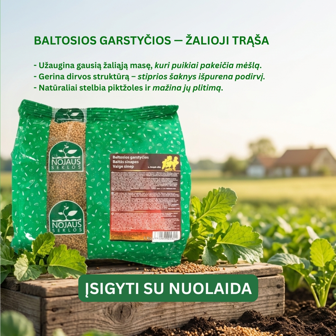 Nojaus sėklos Facebook ad: PRIKELK savo žemę antram gyvenimui!