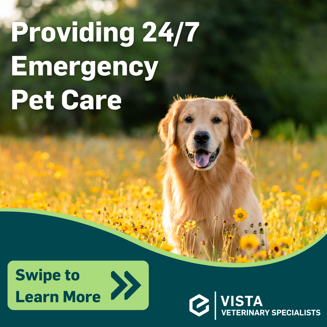 Vista Veterinary Specialists Facebook ad: When your pet needs emergency care, Vista Veterinary…