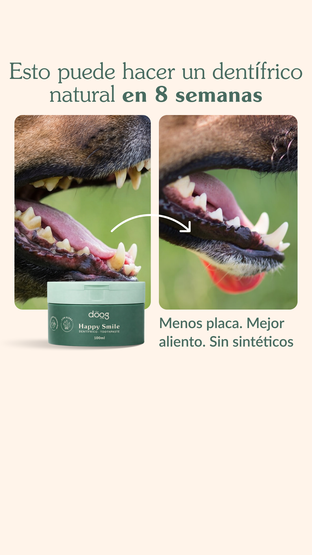 The Doog Life Facebook ad: Tu perro lo pide solo