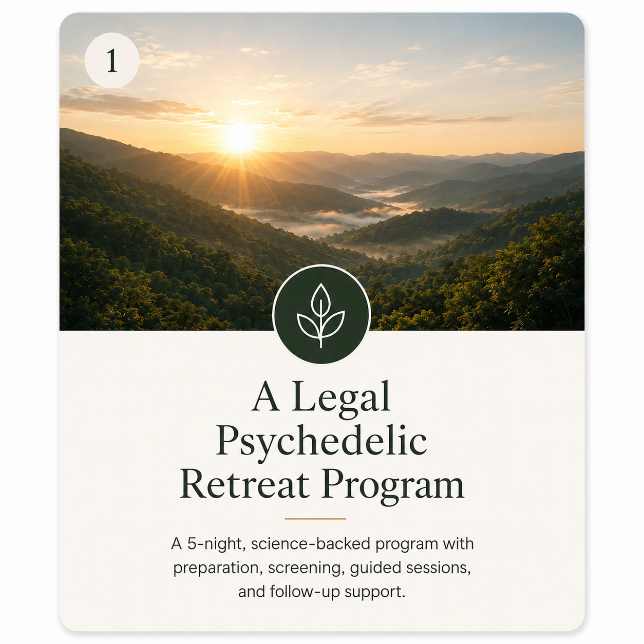 Beckley Retreats Insights Facebook ad: Explore a research-backed psychedelic retreat experience…